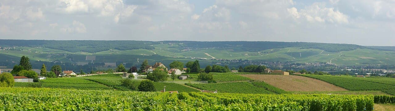 Coteaux, Maisons et Caves de Champagne