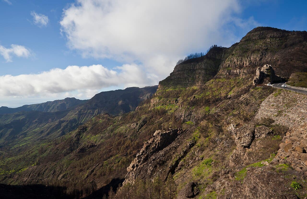 Parc national de Garajonay
