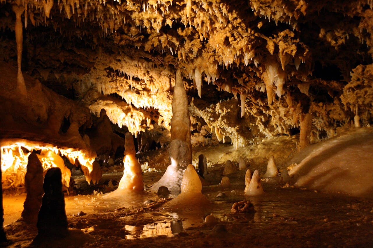 Sites préhistoriques et grottes ornées de la vallée de la Vézère