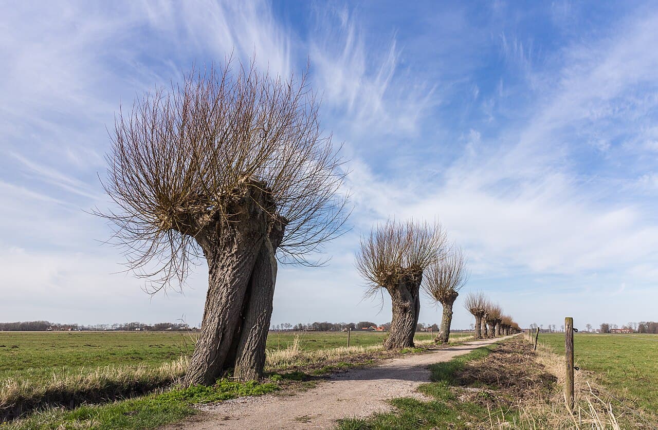 Schokland et ses environs