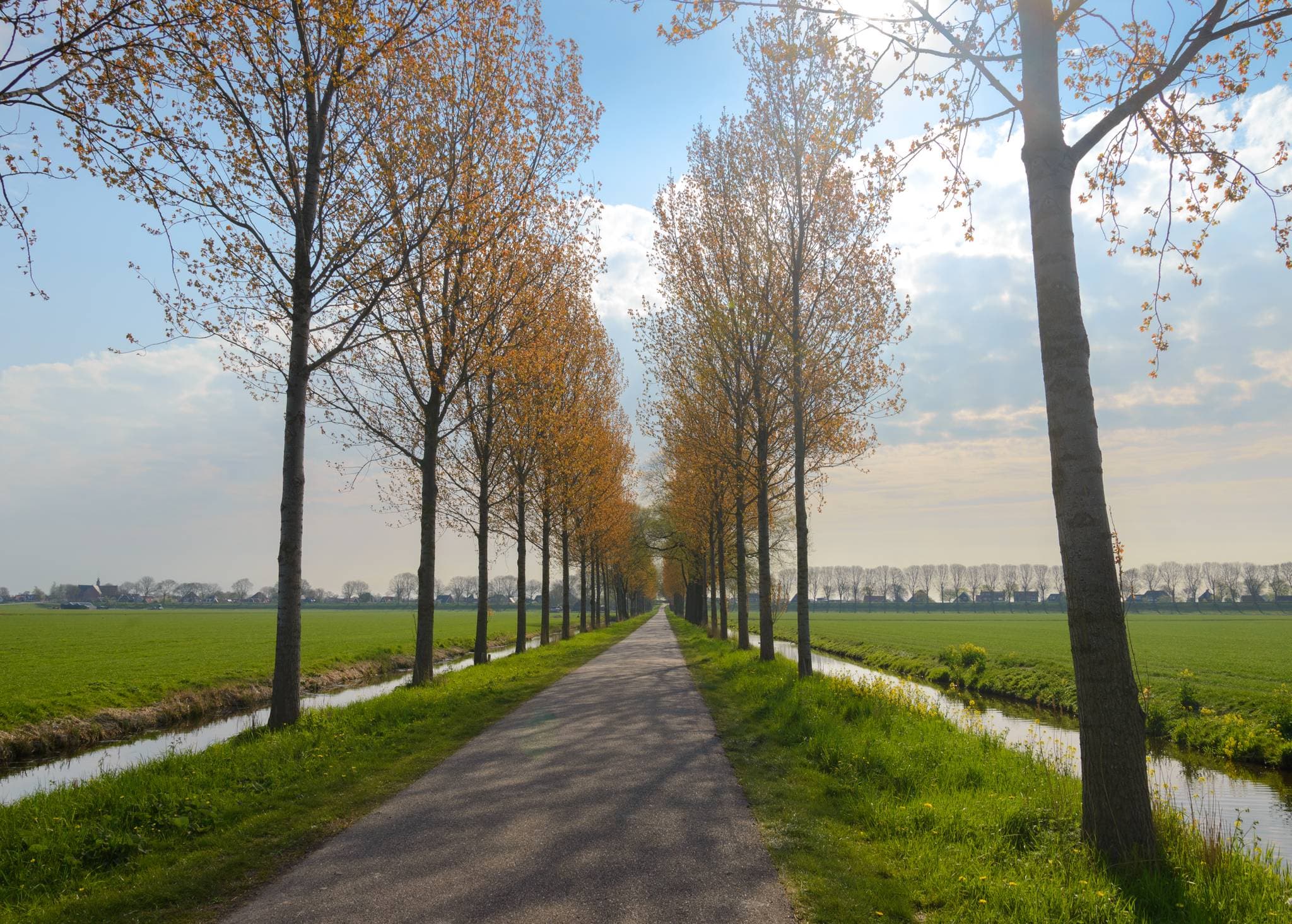 Droogmakerij de Beemster (Polder de Beemster)