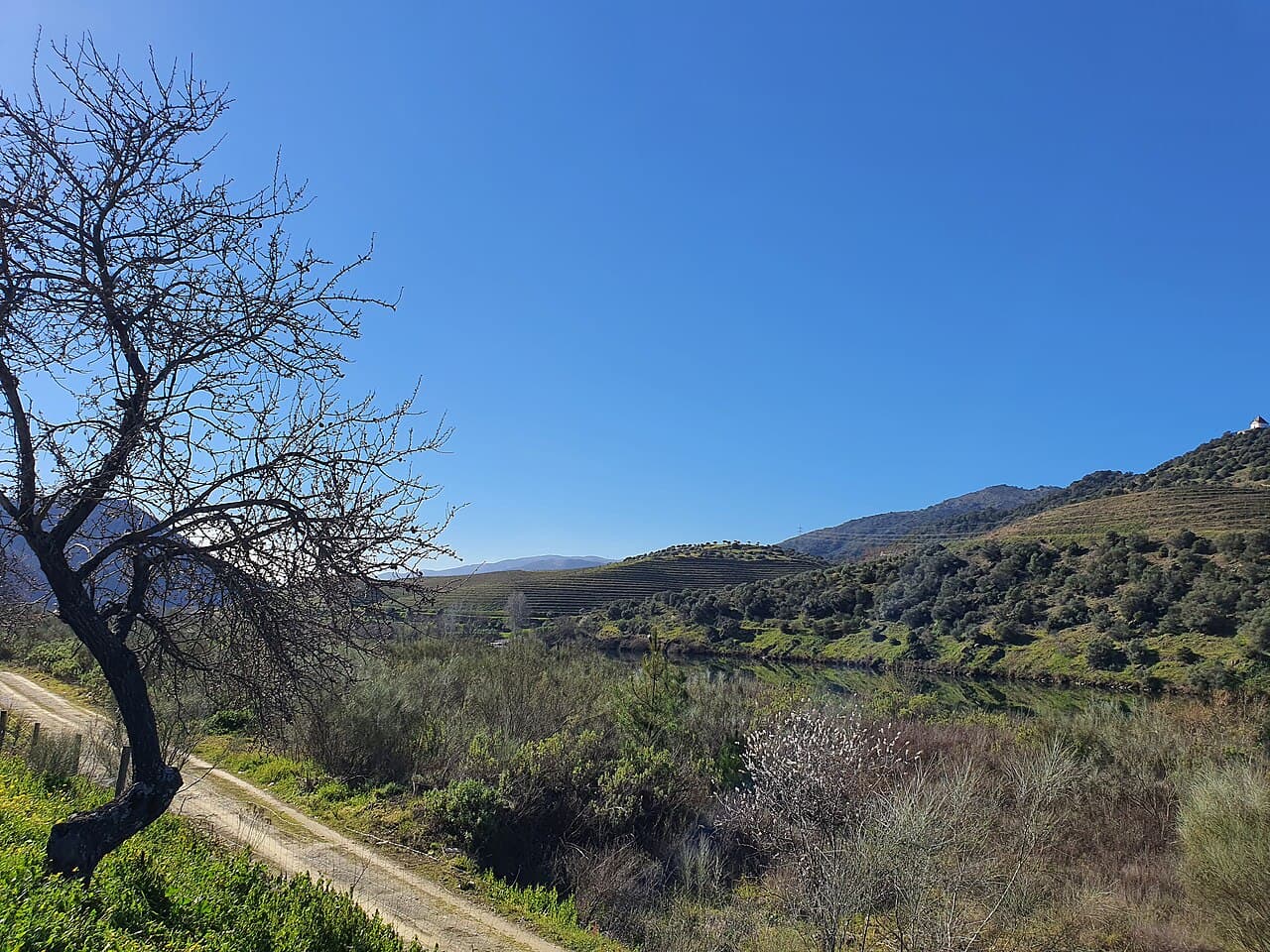 Région viticole du Haut-Douro