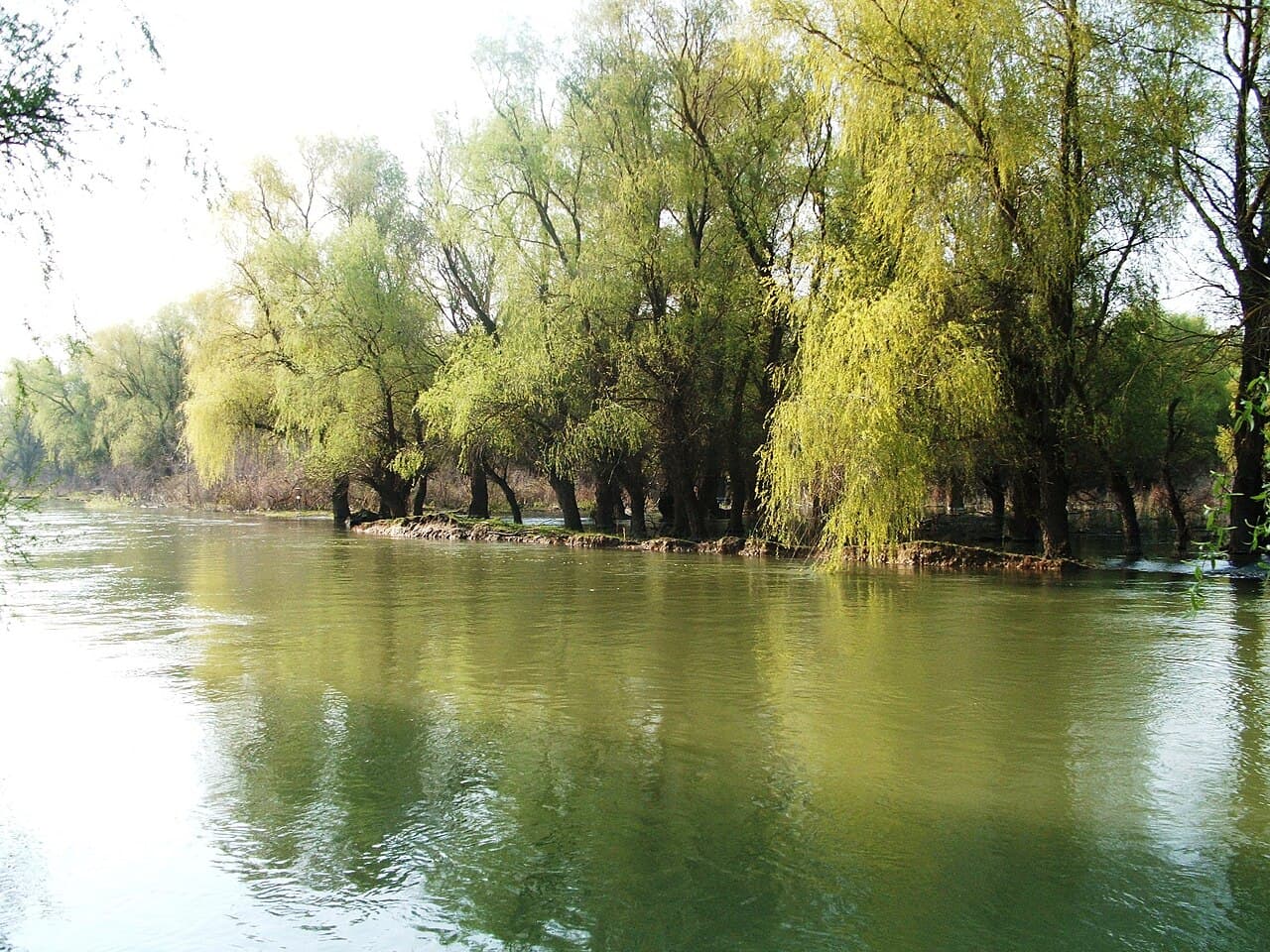 Delta du Danube