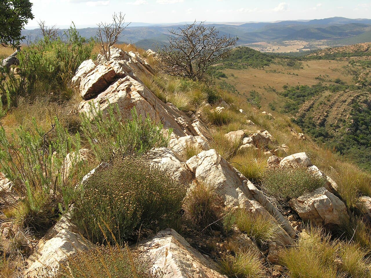 Dôme de Vredefort