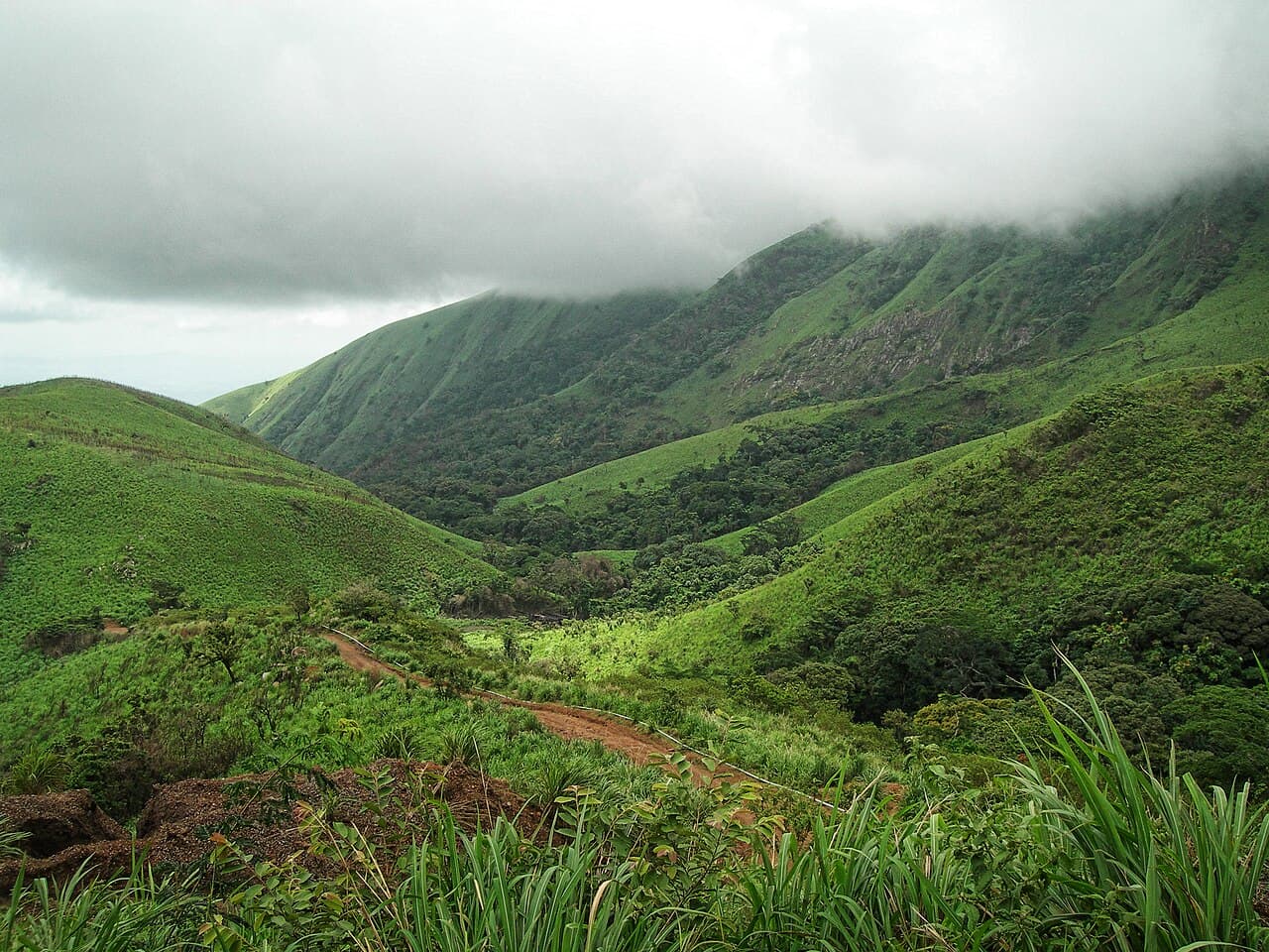 Réserve naturelle intégrale du mont Nimba