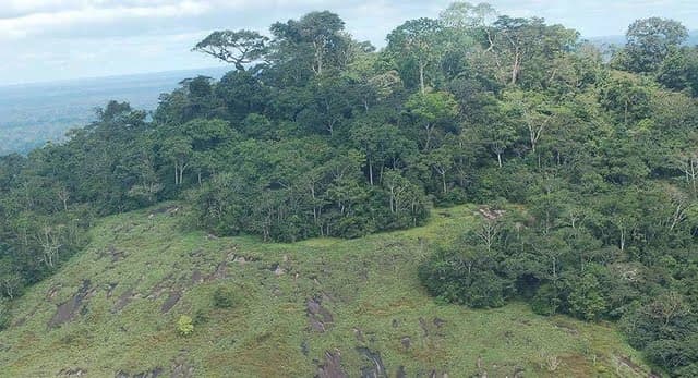Parc national de Taï