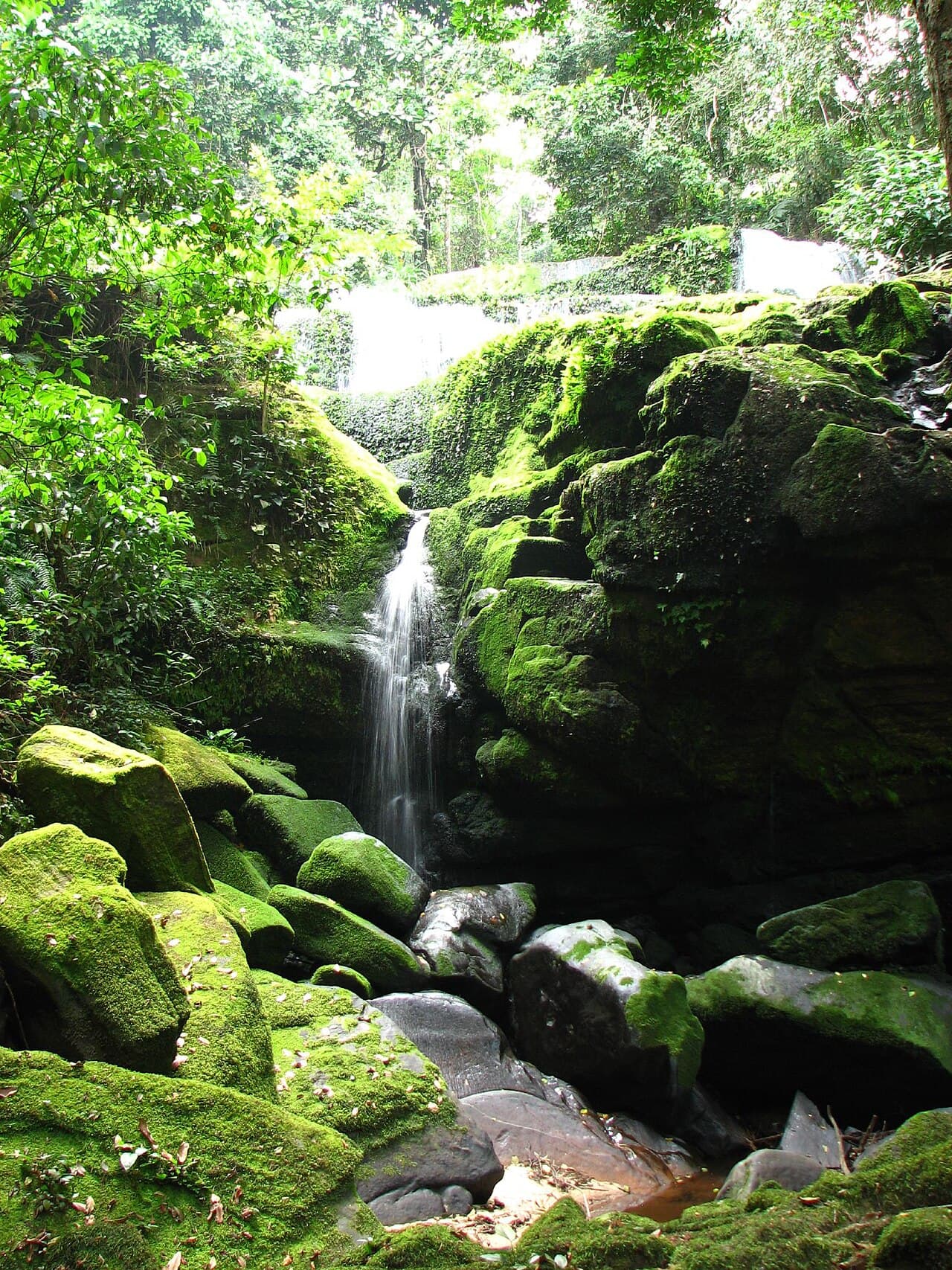 Parc national de l’Ivindo