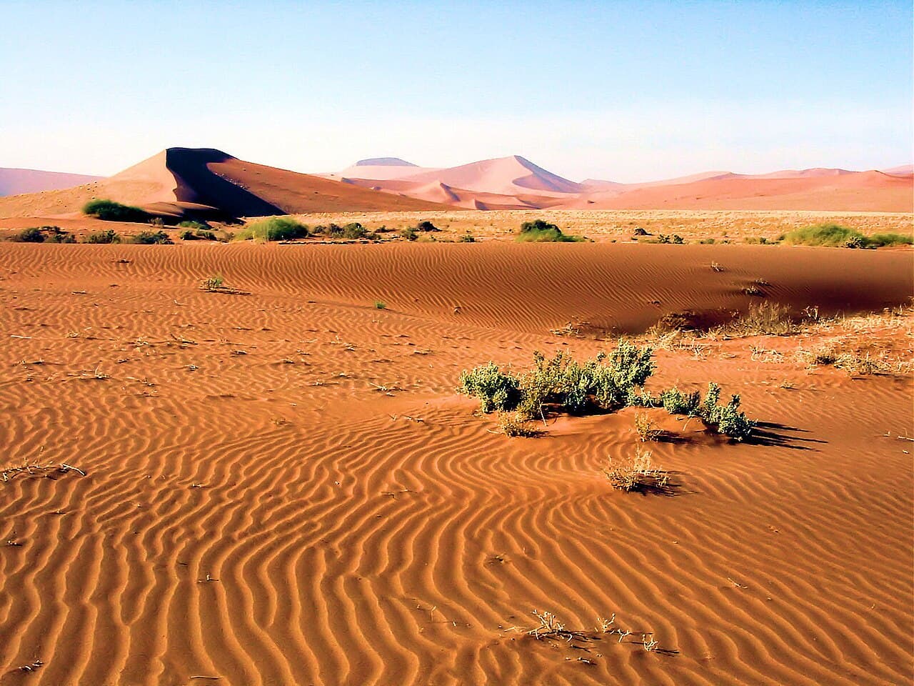 Erg du Namib