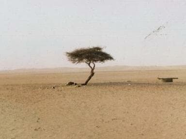 Réserves naturelles de l'Aïr et du Ténéré