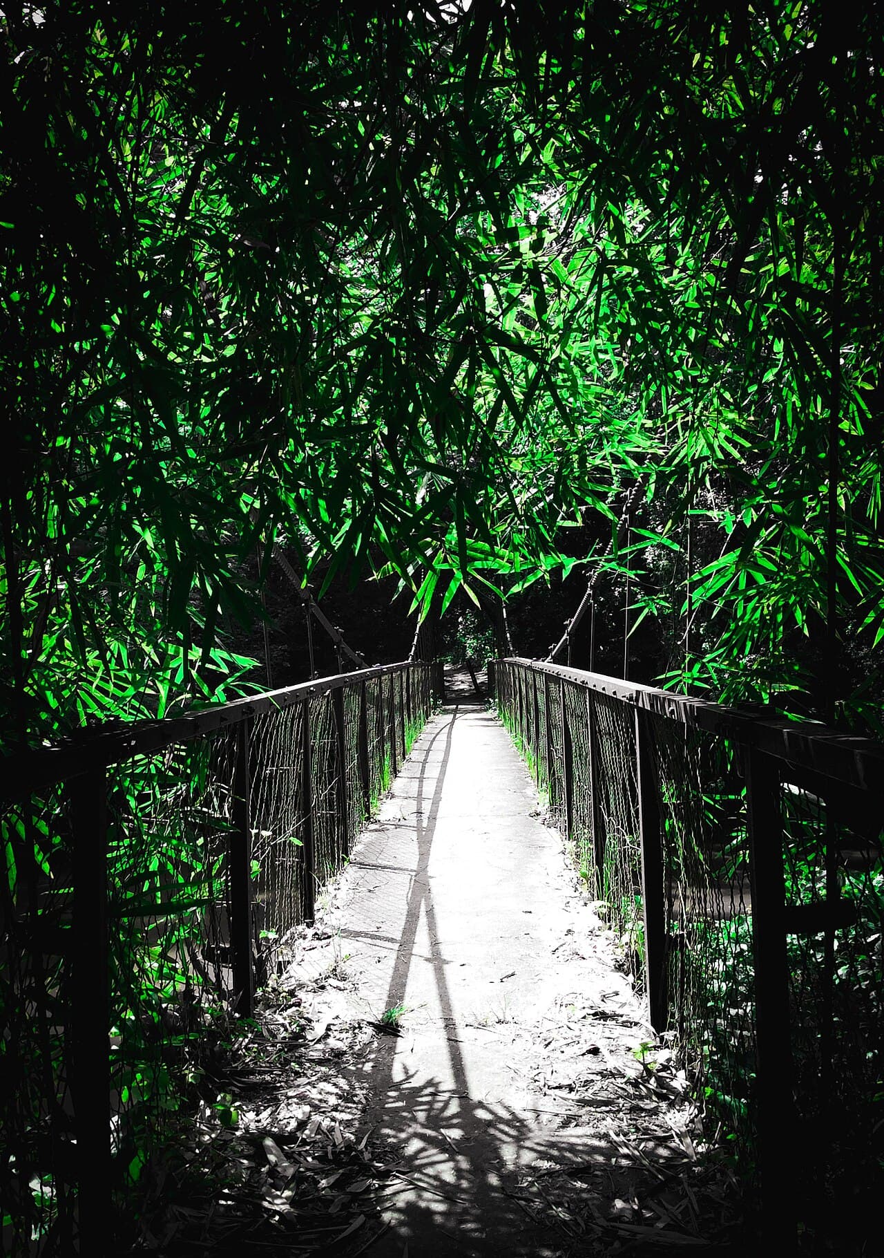Forêt sacrée d’Osun-Oshogbo