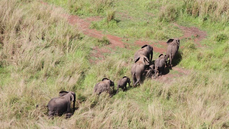 Parc national de la Garamba