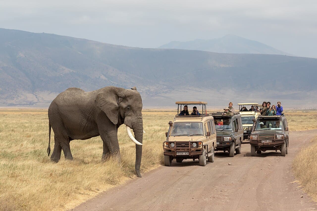 Zone de conservation de Ngorongoro