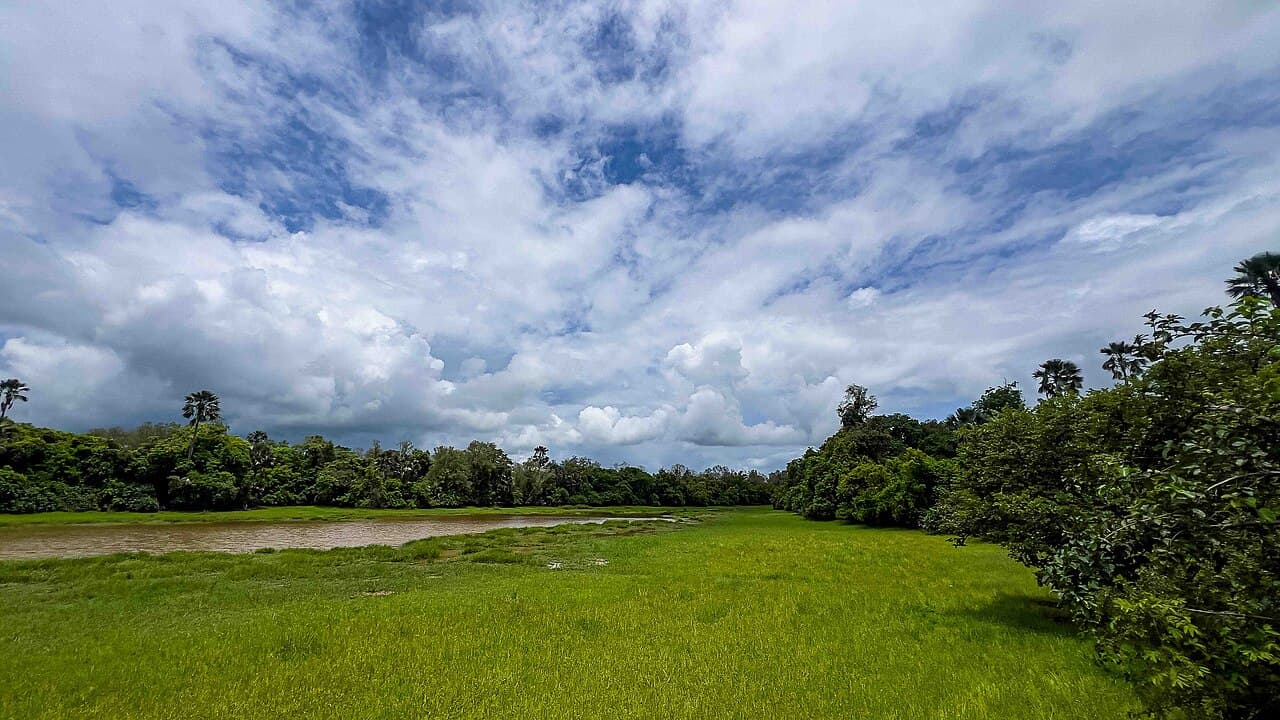 Parc national du Niokolo-Koba