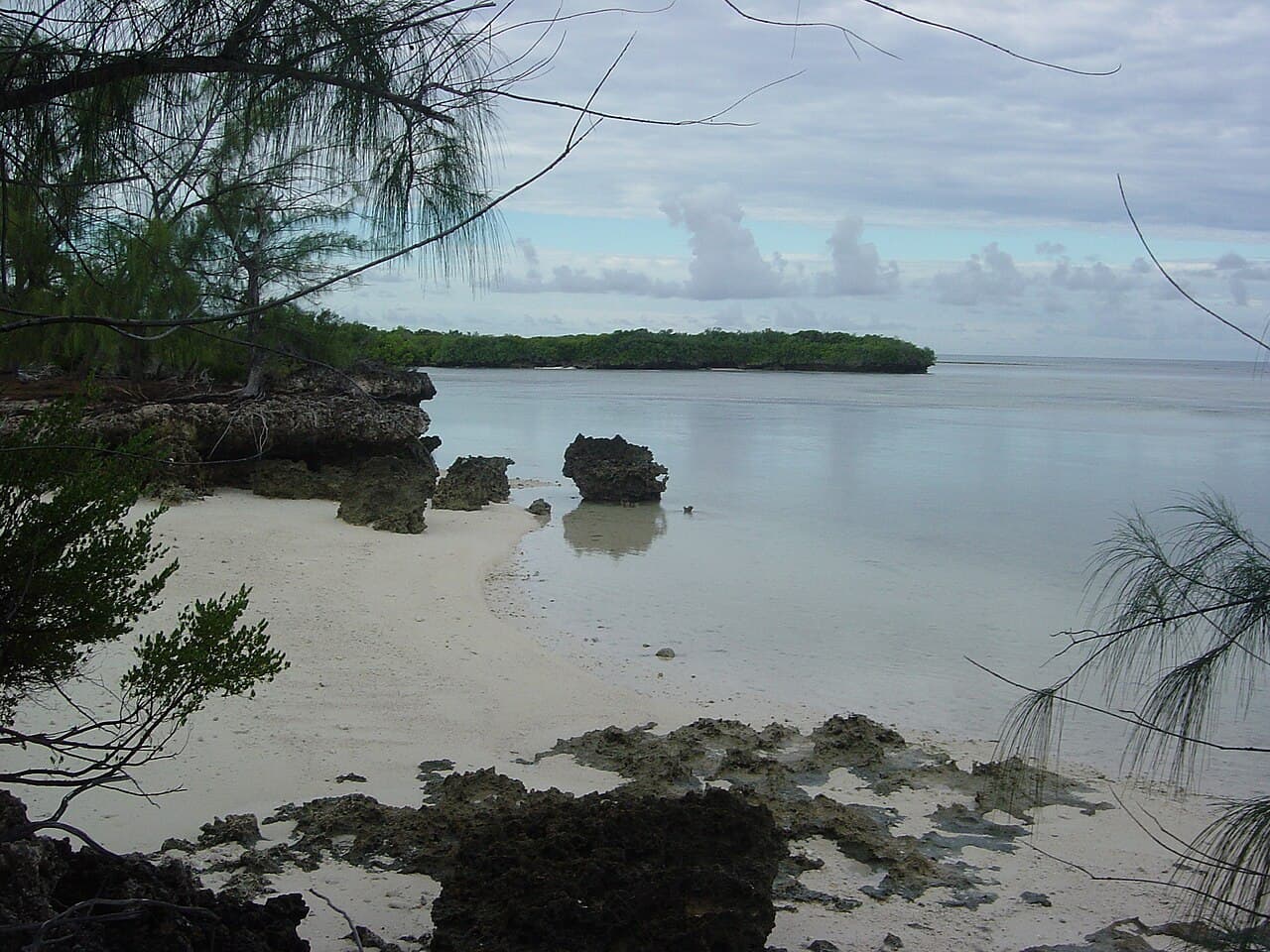 Atoll d'Aldabra