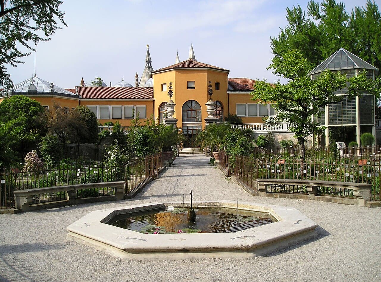 Botanical Garden (Orto Botanico), Padua
