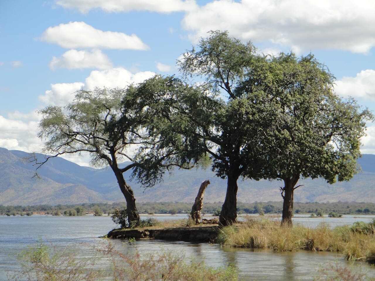 Parc national de Mana Pools, aires de safari Sapi et Chewore
