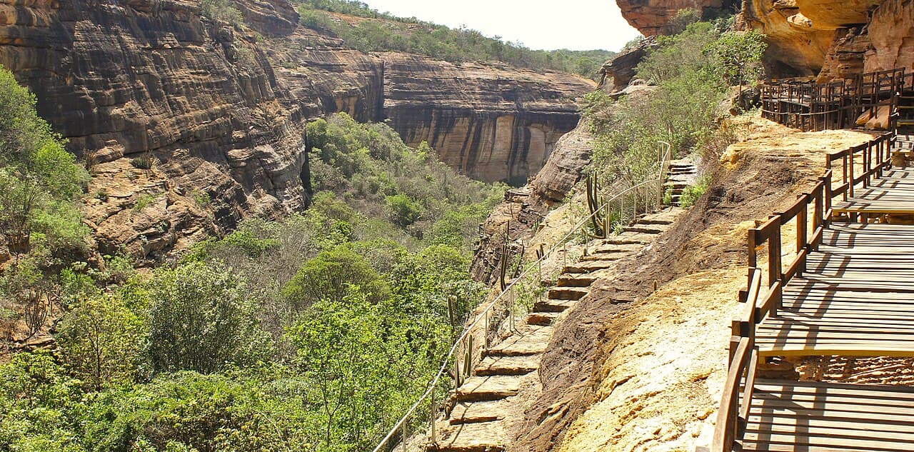 Parc national de Serra da Capivara