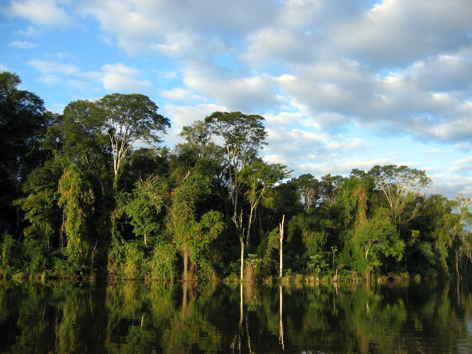 Côte de la découverte – Réserves de la forêt atlantique