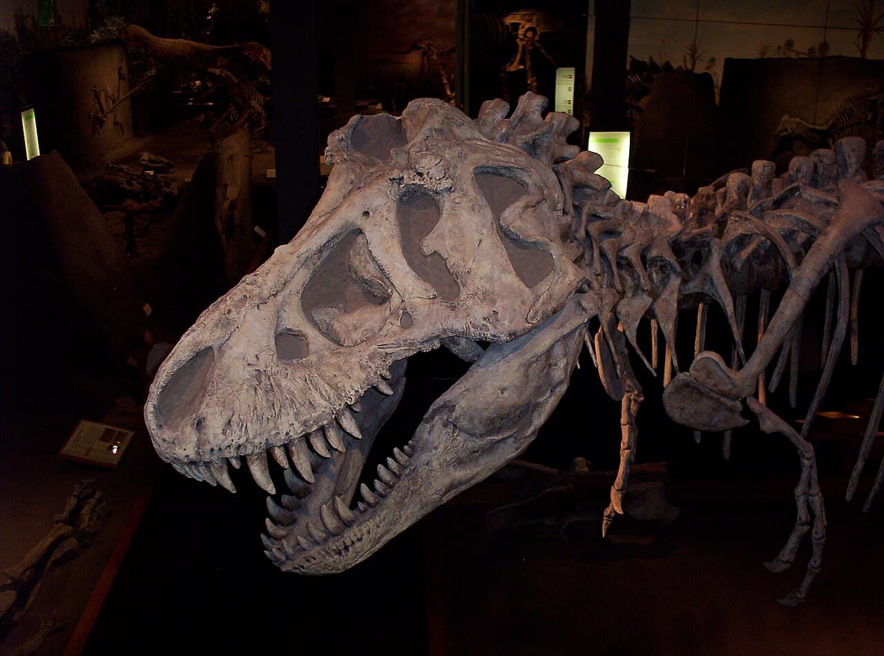Parc provincial Dinosaur
