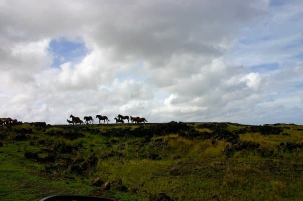 Parc national de Rapa Nui