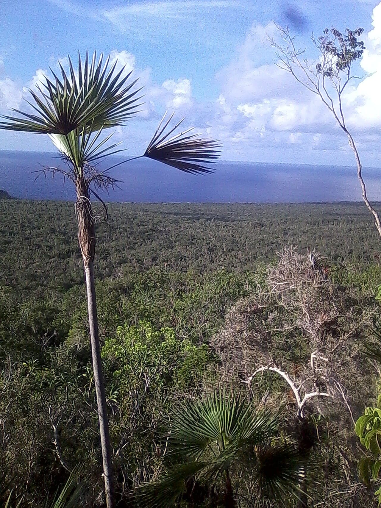 Parc national Desembarco del Granma