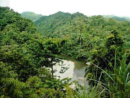Parc national Alejandro de Humboldt