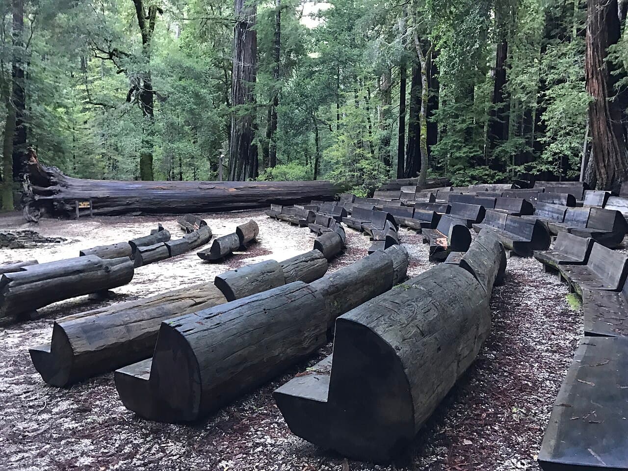 Parcs d'État et national Redwood