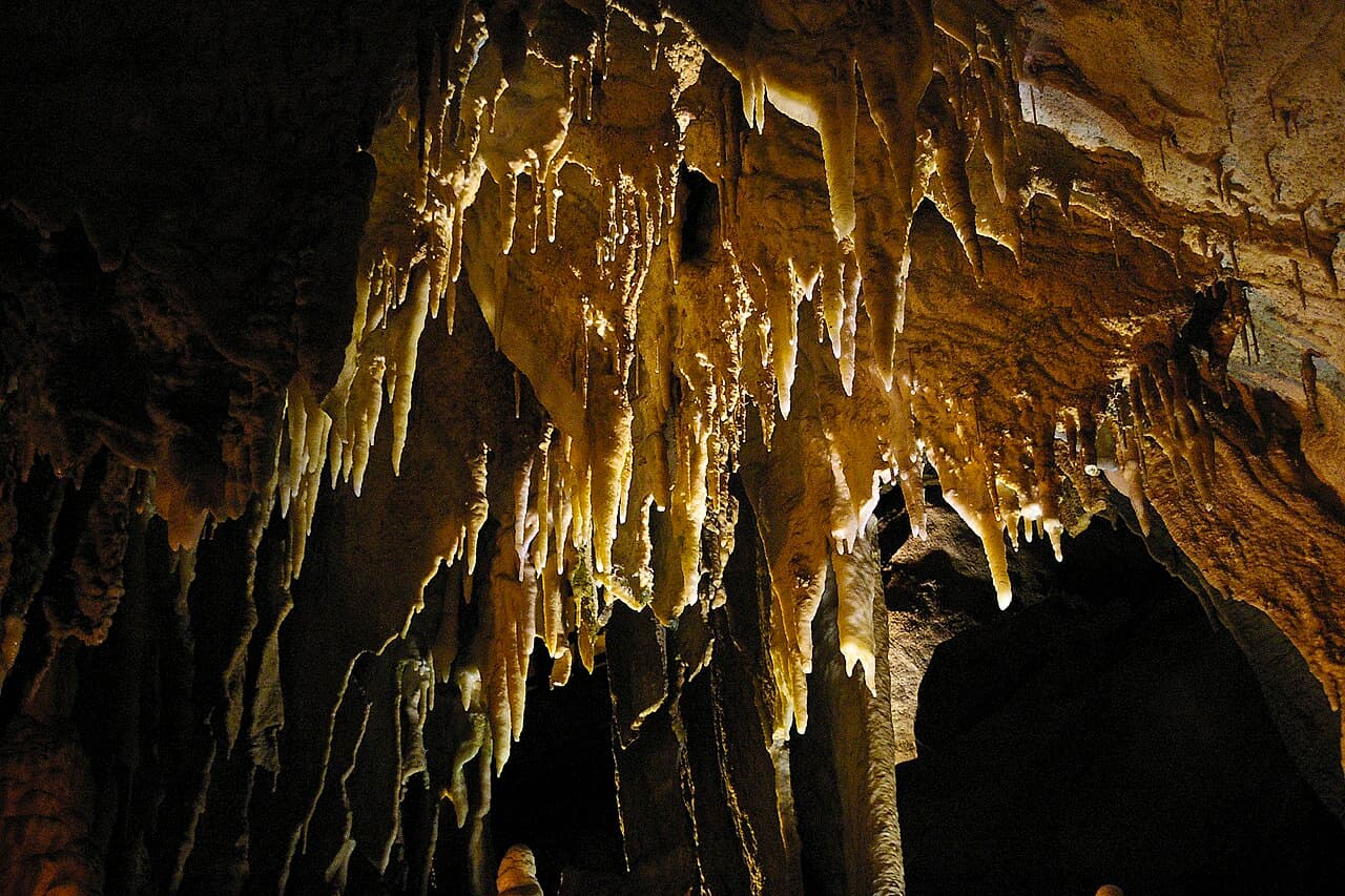 Parc national de Mammoth Cave