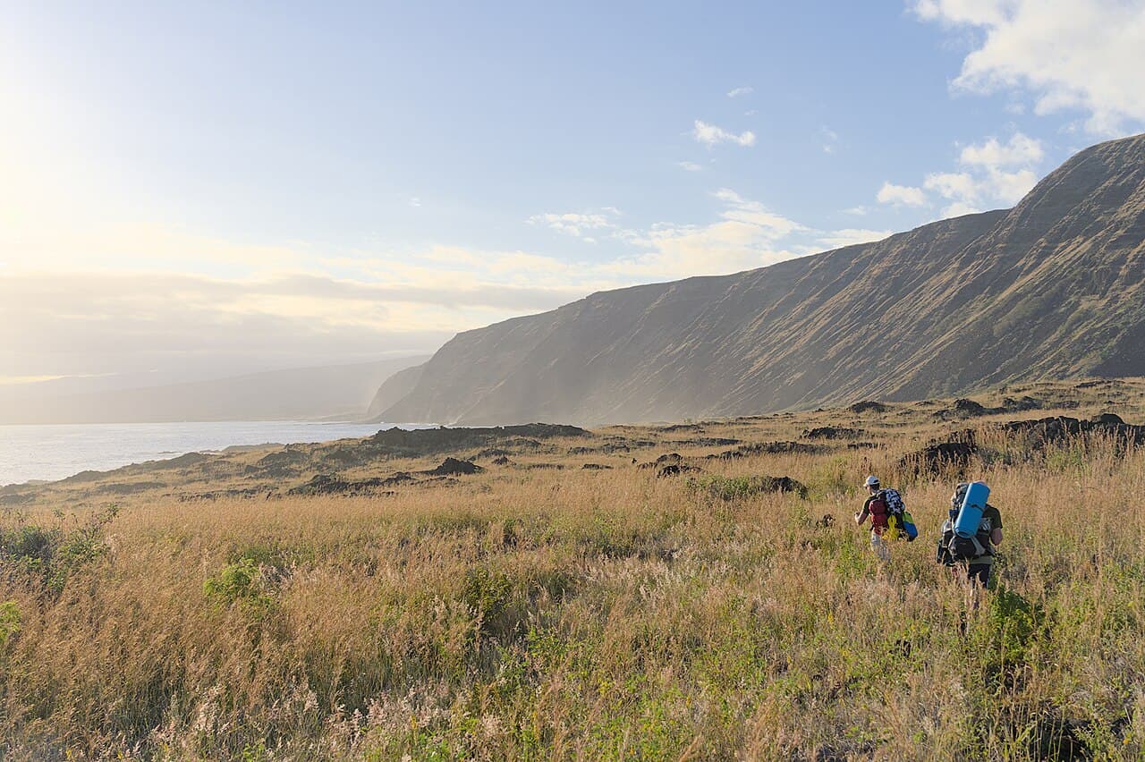 Parc national des volcans d'Hawaï