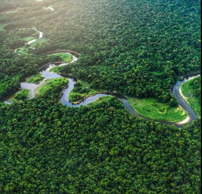 Réserve de la biosphère Río Plátano