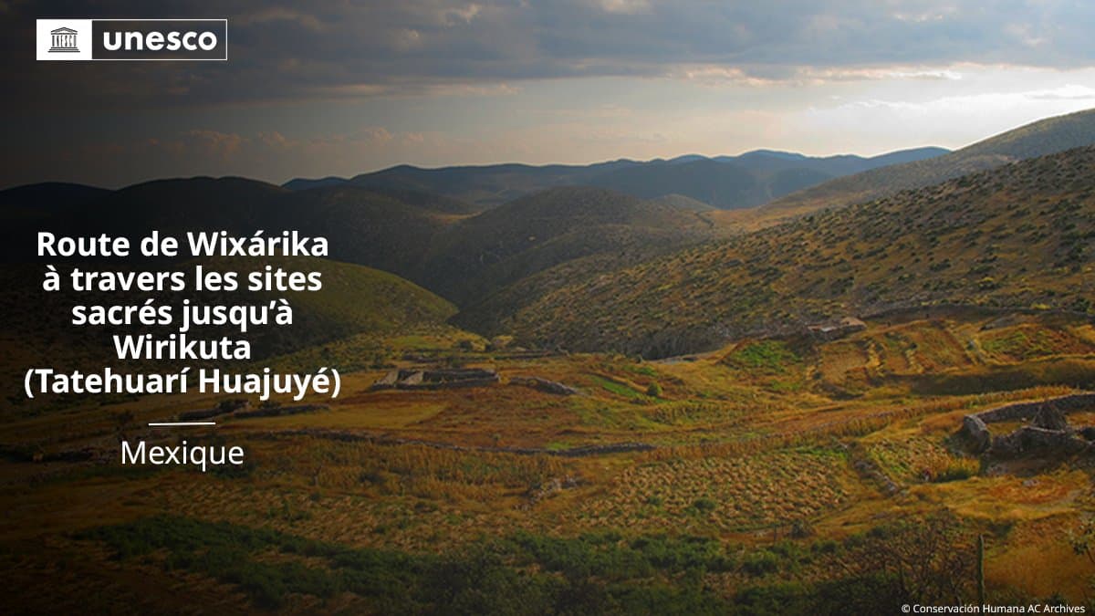 Route de Wixárika à travers les sites sacrés jusqu’à Wirikuta (Tatehuarí Huajuyé)