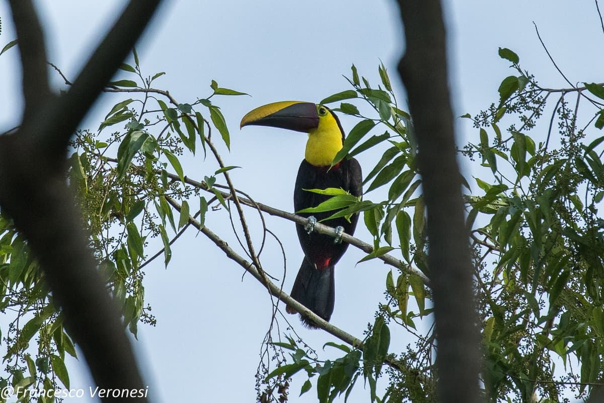 Parc national du Darien