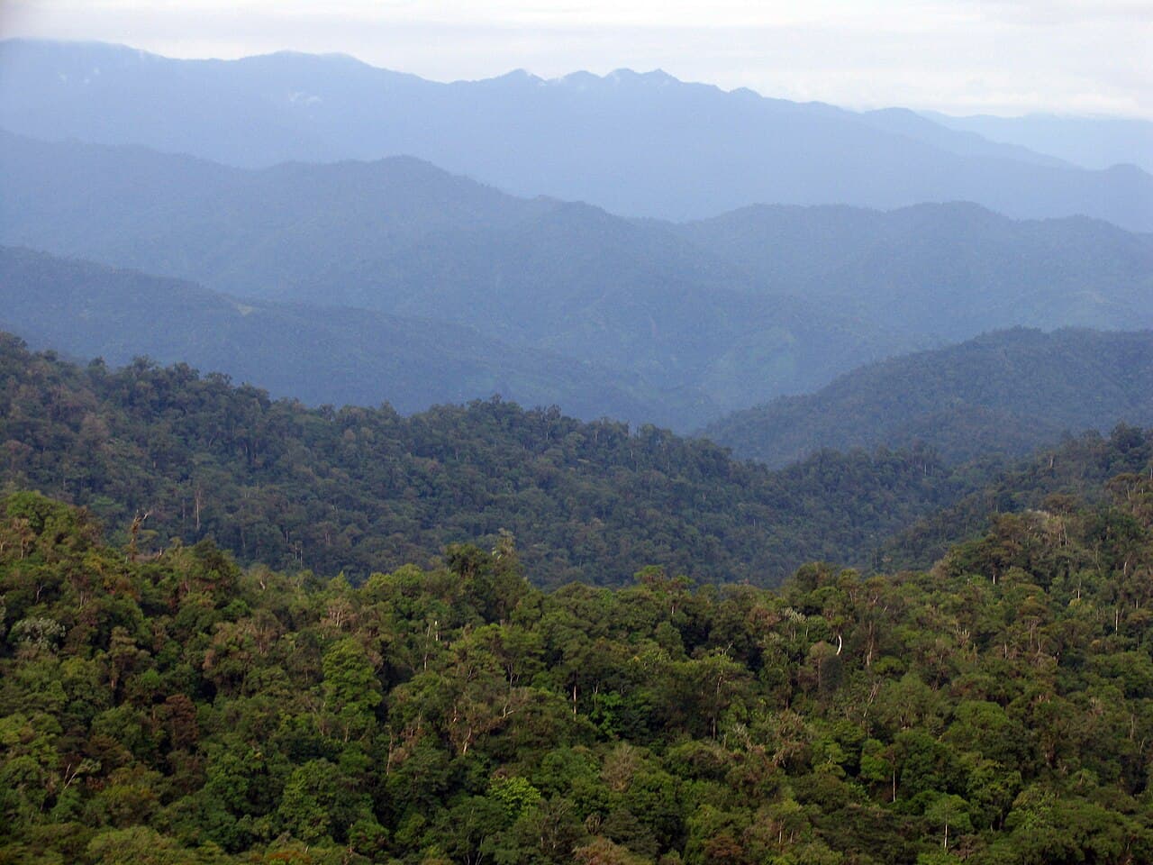 Réserves de la cordillère de Talamanca-La Amistad / Parc national La Amistad