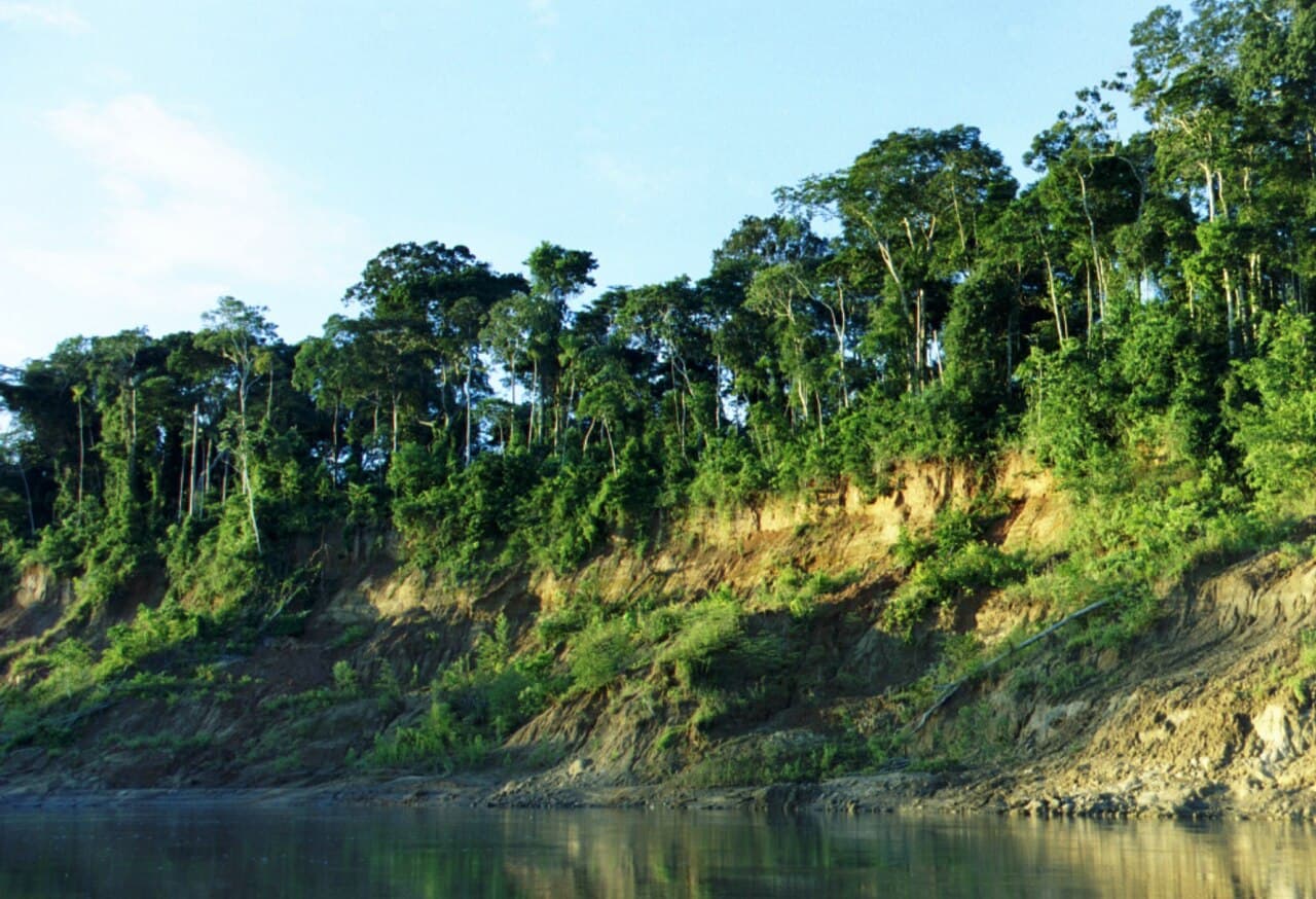 Parc national de Manú
