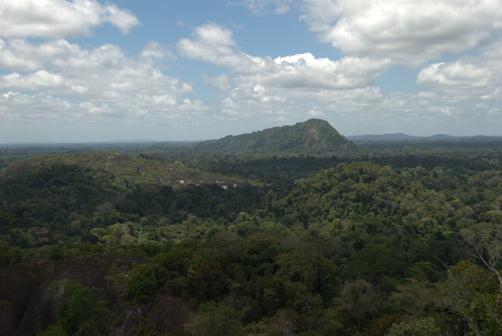 Réserve naturelle du Suriname central