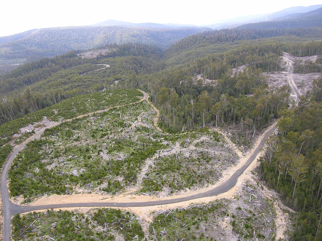 Zone de nature sauvage de Tasmanie