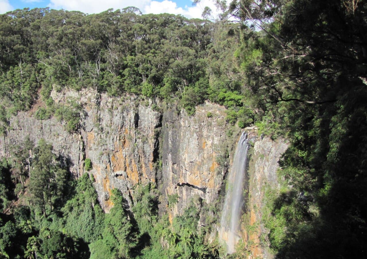 Forêts humides Gondwana de l’Australie