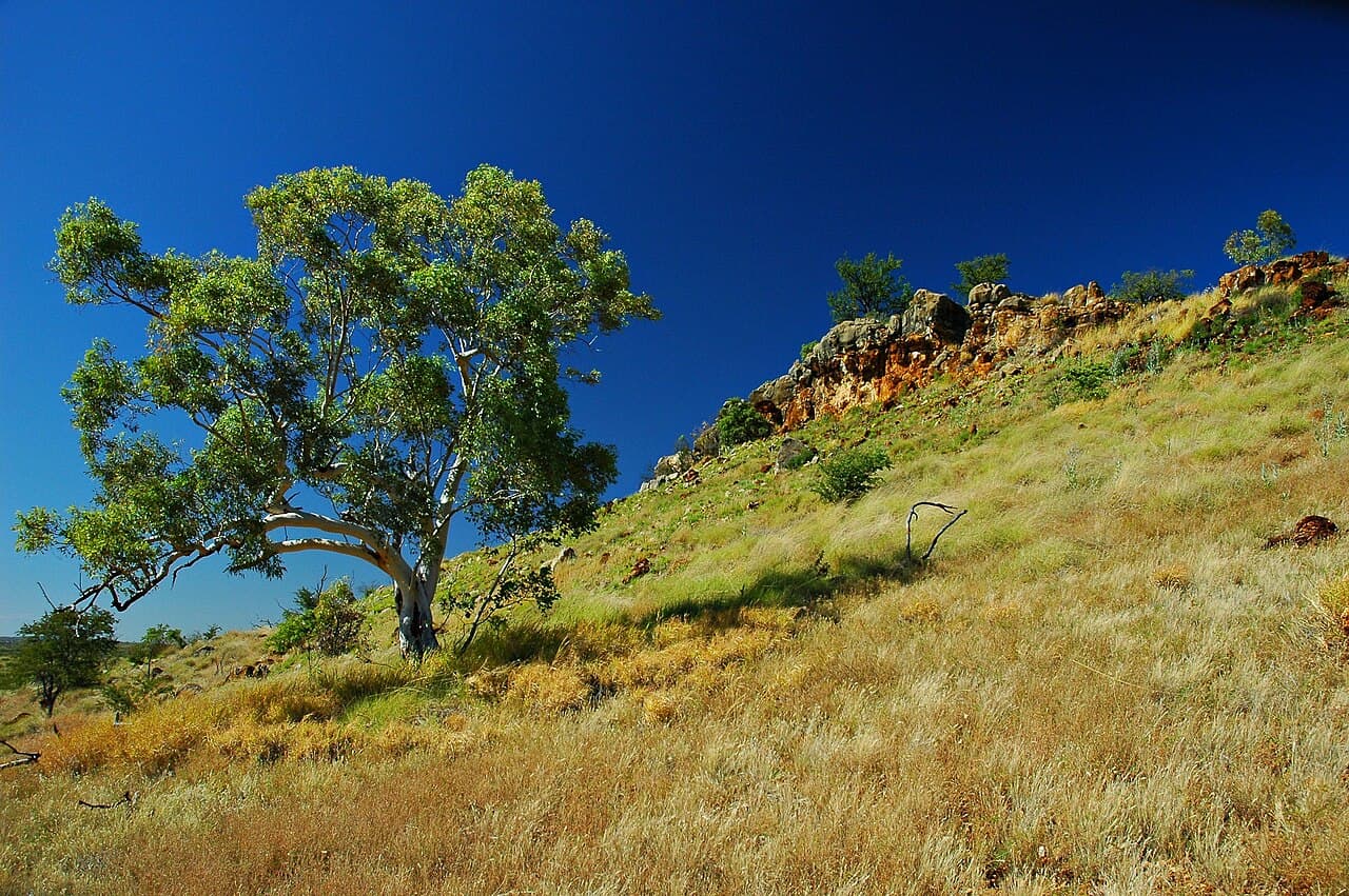 Sites fossilifères de mammifères d'Australie (Riversleigh / Naracoorte)