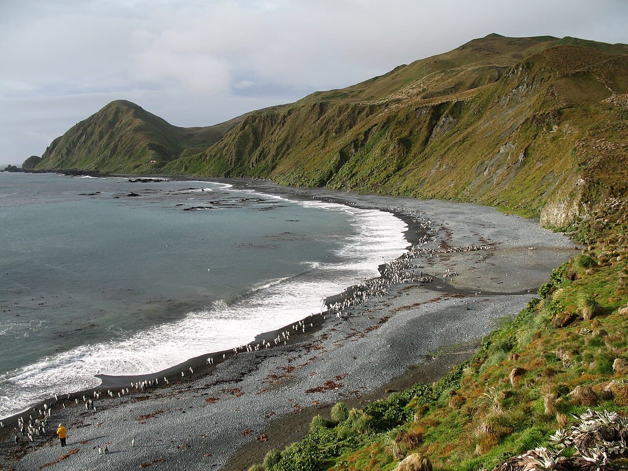 Île Macquarie