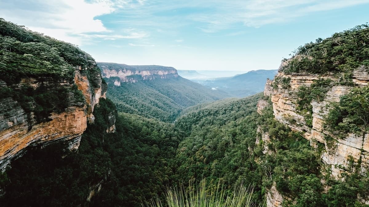 Région des montagnes Bleues