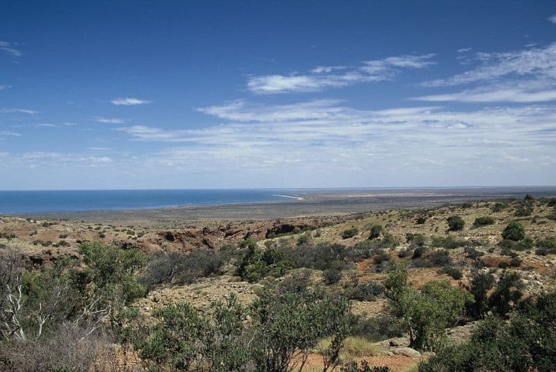Côte de Ningaloo
