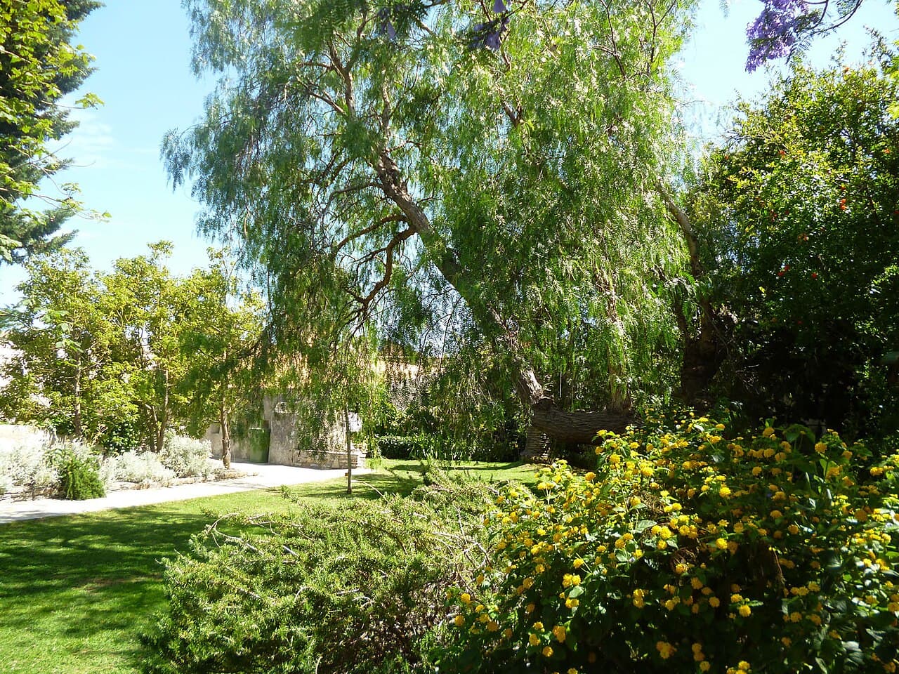 Jardins Suspendus du Musée de Bastia