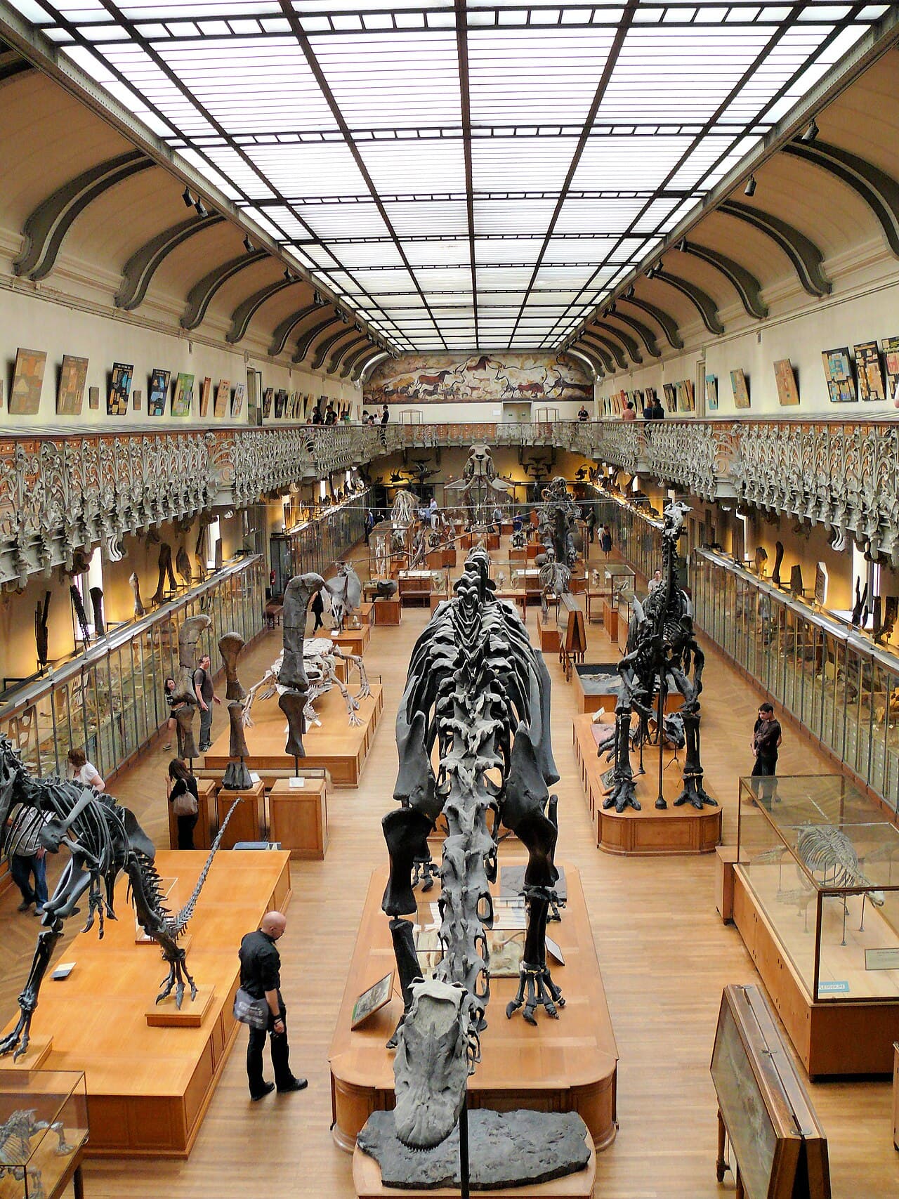 Galerie de Paléontologie et d’Anatomie comparée
