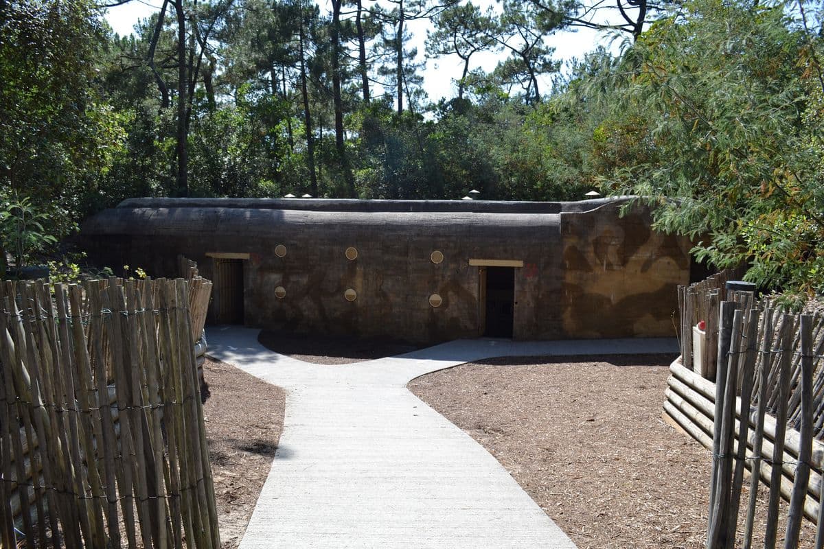 Bunker Du Phare