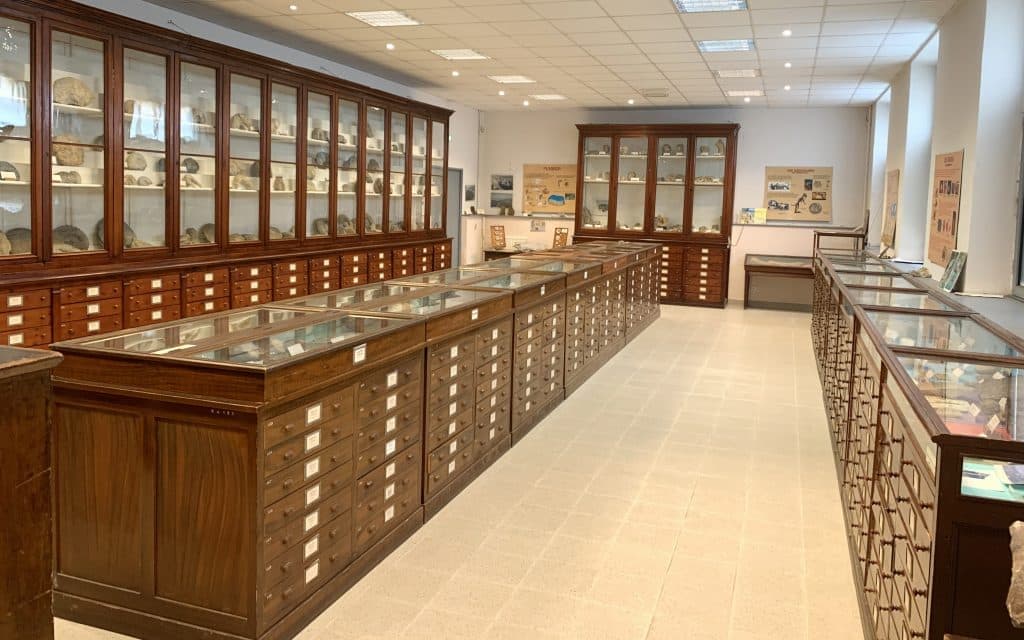 Musée de Paléontologie - Aix-Marseille Université