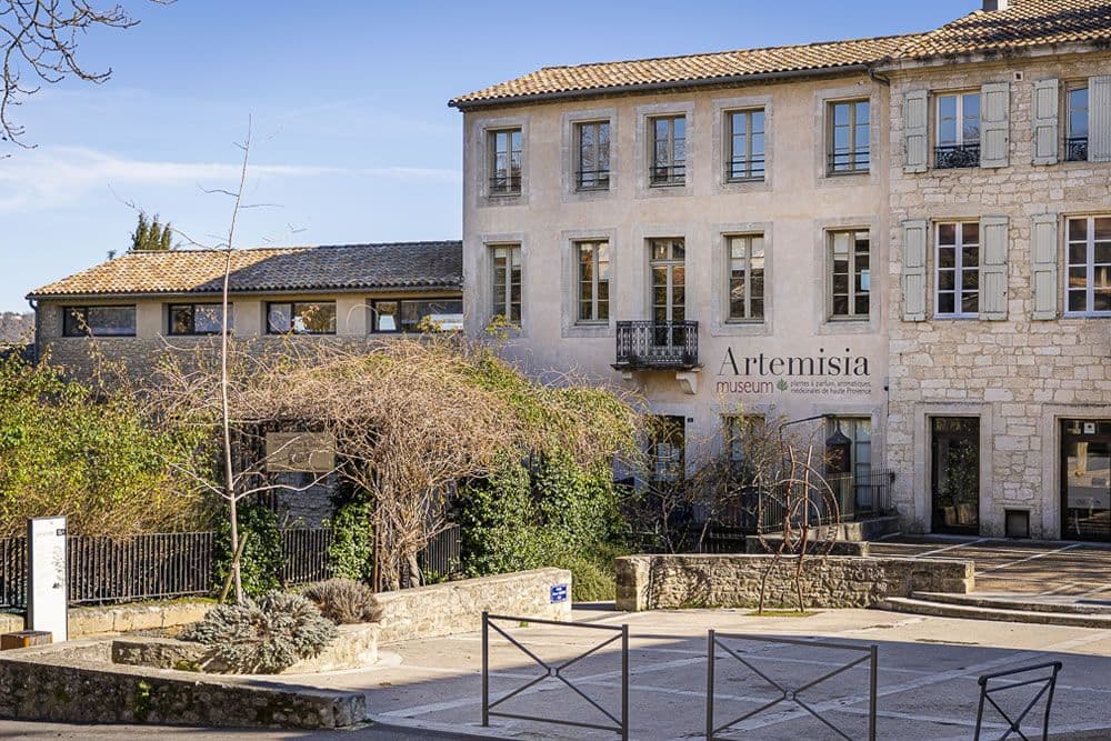 Artemisia museum
