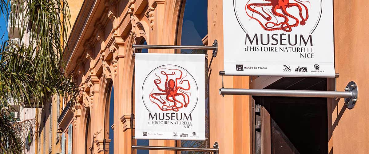 Muséum d'Histoire naturelle de Nice