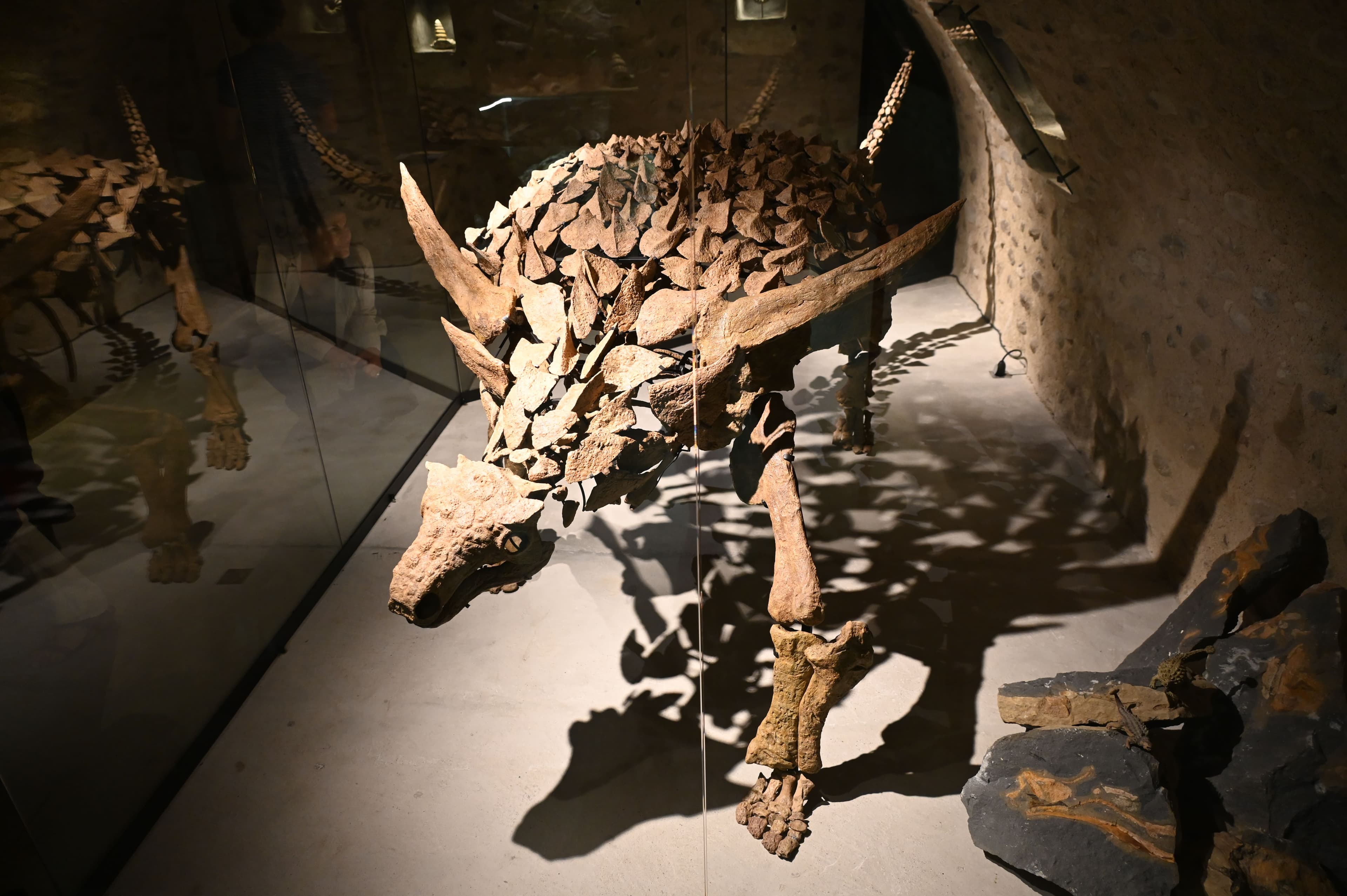 Paleogalerie