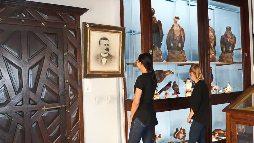 Musée d'Histoire Naturelle Joseph Abeilhé