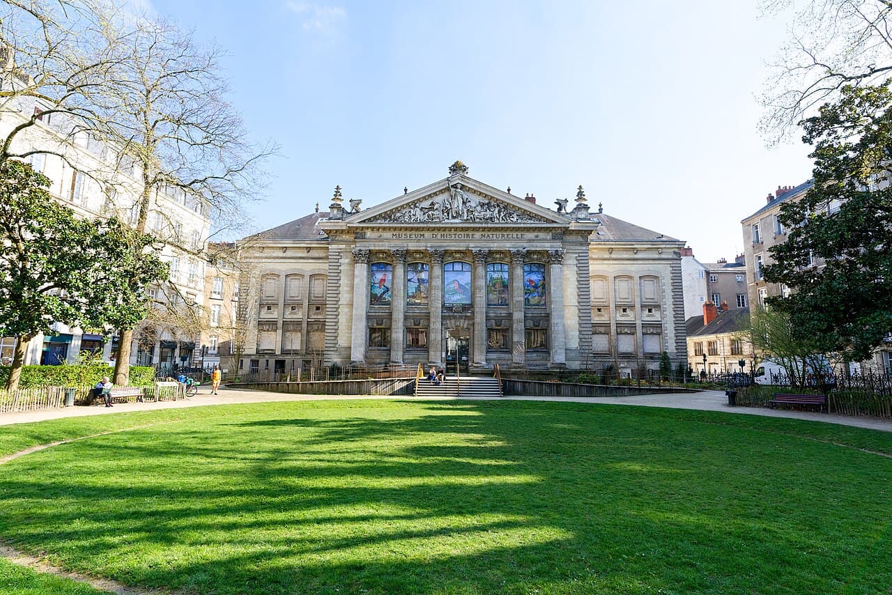Muséum d'Histoire Naturelle